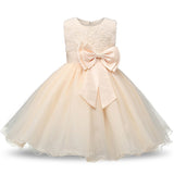 Elegant Baby/Kid Dress for First Birthdays or Any Special Occasion